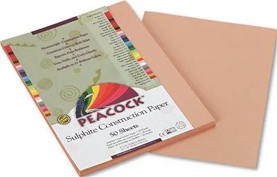 Track lighting with multiple heads for flexibilityPeacock Sulphite Construction Paper 76 Lbs 9 X 12 Light Brown 50 Sheets/Pack