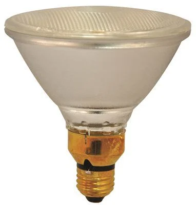 Adjustable track lighting for living roomsSatco Halogen Flood Lamp Par38 70 Watts 120 Volts Medium Base Clear Medium Skirted 30 Degree Beam Angle
