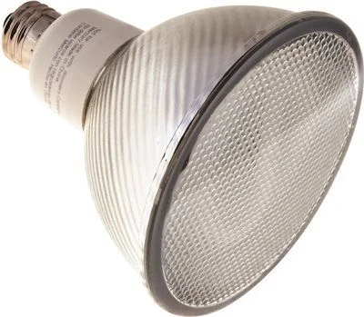 Track lighting with motion - sensor capabilitiesTcp Springlamp Instabright Compact Fluorescent Flood Lamp R40 23 Watts 120 Volts 2700K 82 Cri Medium Base
