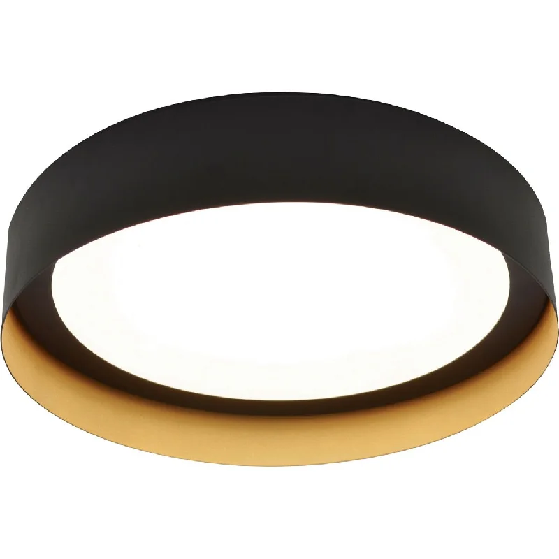 Waterproof Industrial Lighting for Wet AreasReveal 12 in. LED Flush Mount Light 120-277V Black & Gold Finish Waterproof Industrial Lighting for Wet AreasReveal 12 in. LED Flush Mount Light 120-277V Black & Gold Finish
