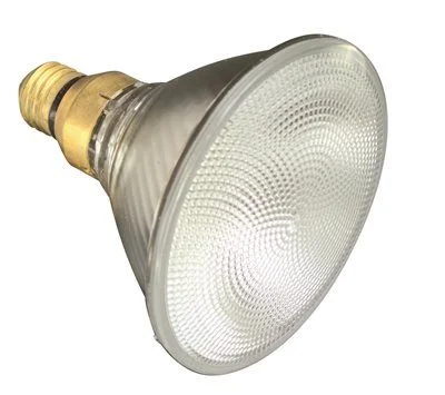 Track lighting with a long - lasting lifespanSylvania Capsylite Halogen Flood Lamp Par38 60 Watt 120 Volts Medium Skirted Double Life Track lighting with a long - lasting lifespanSylvania Capsylite Halogen Flood Lamp Par38 60 Watt 120 Volts Medium Skirted Double Life