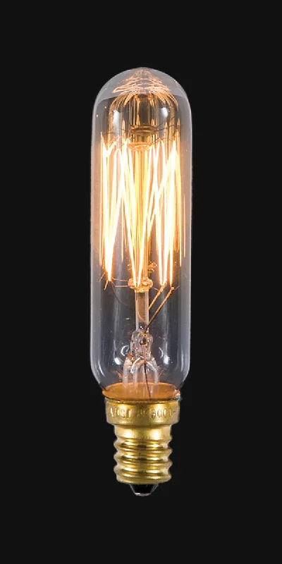 Bohemian - Style Beaded Chandeliers for Eclectic DecorBohemian - Style Beaded Chandeliers for Eclectic DecorAntique Style T6 25W Candelabra Base Bulb